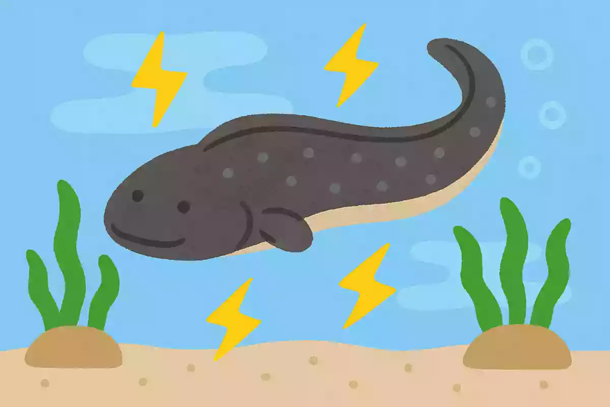 電気魚(でんきうお)と呼ばれる魚のうち、一番電気のいりょくが強いのは?