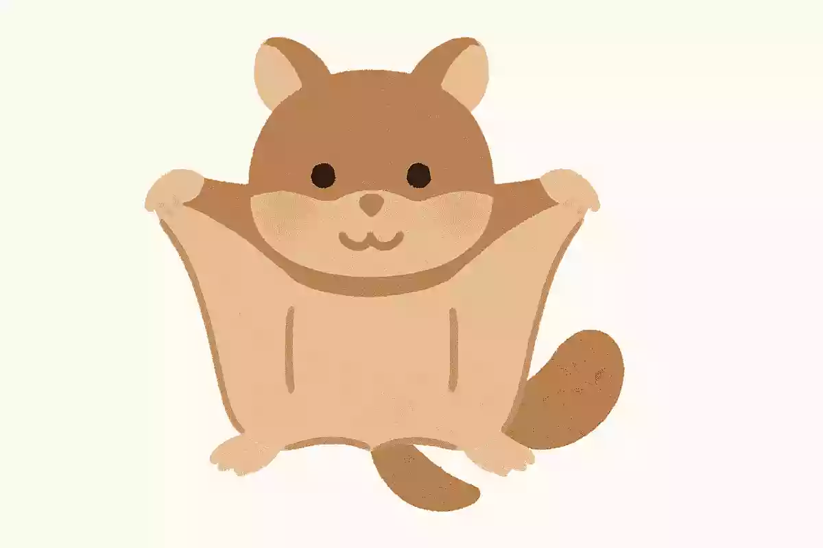 6331ムササビ