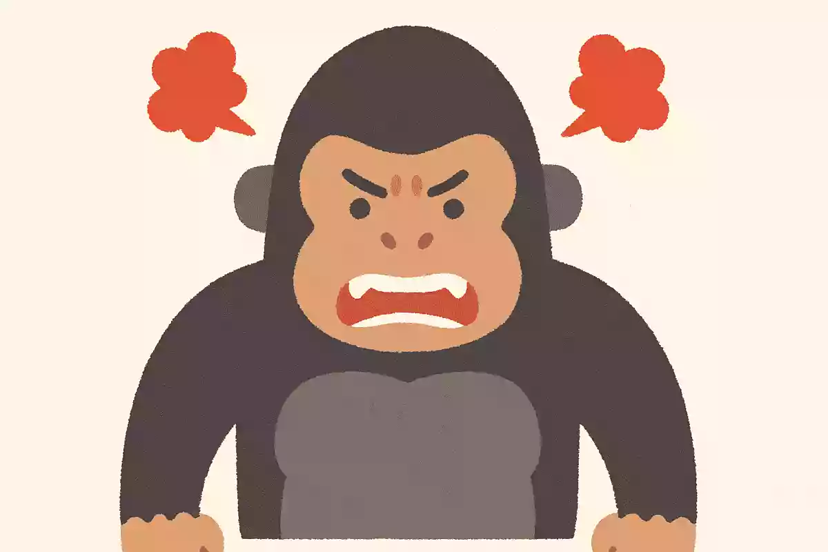 ゴリラの性格として正しいのはどれでしょう？