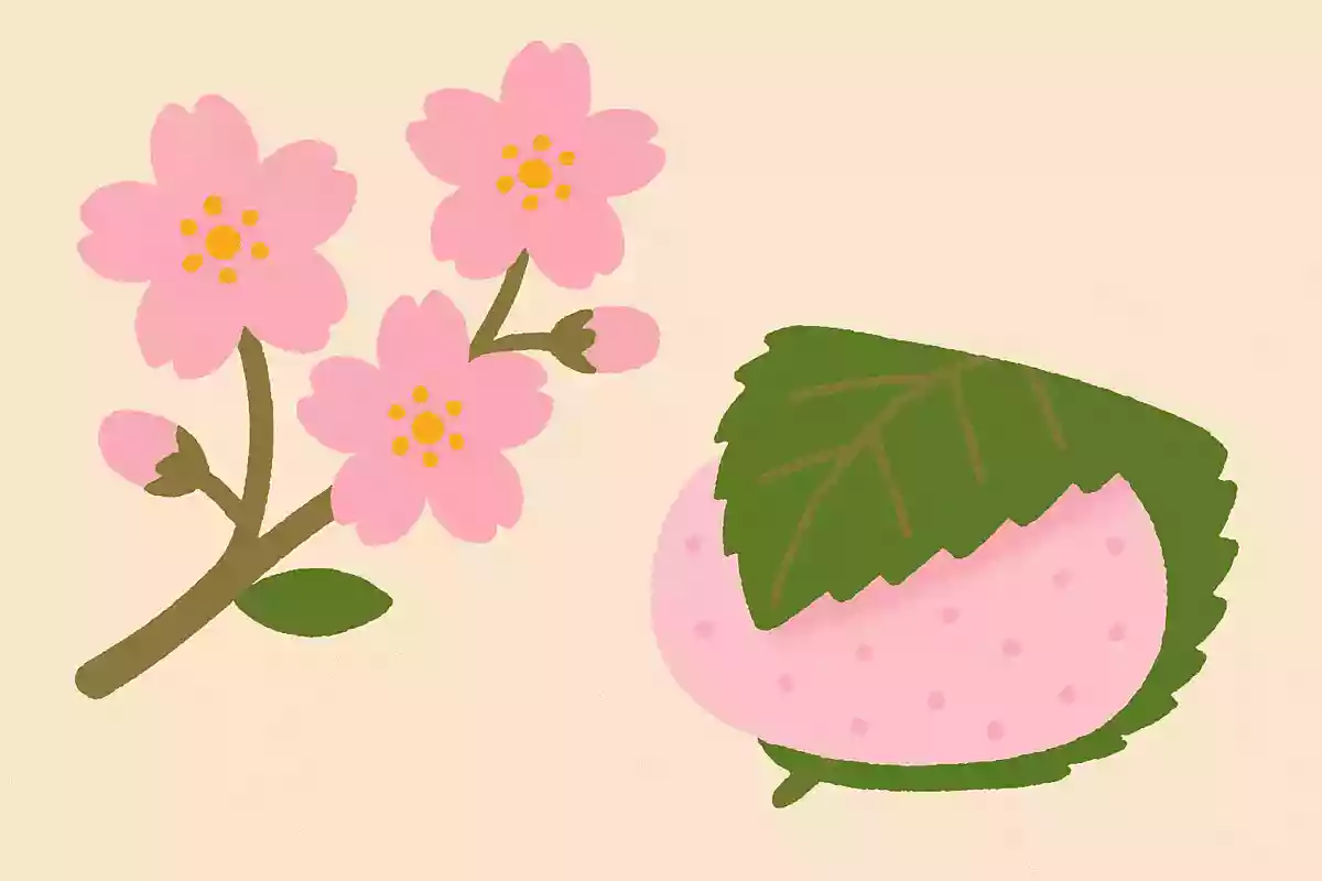 桜餅の葉っぱとして使われるのはどの桜でしょうか