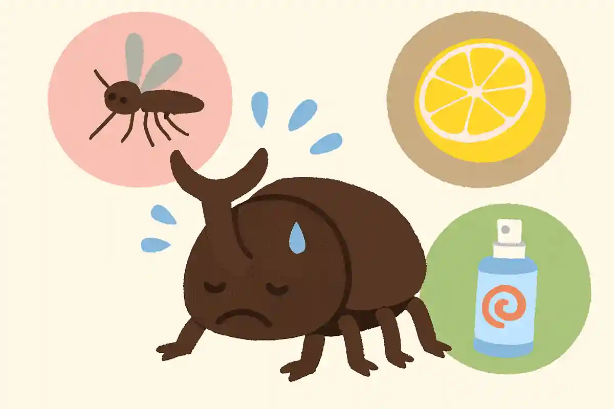 カブトムシの苦手なことは?
