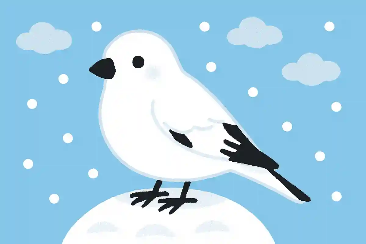 北海道にのみ生息している「雪の妖精」と呼ばれる鳥はなんでしょう?