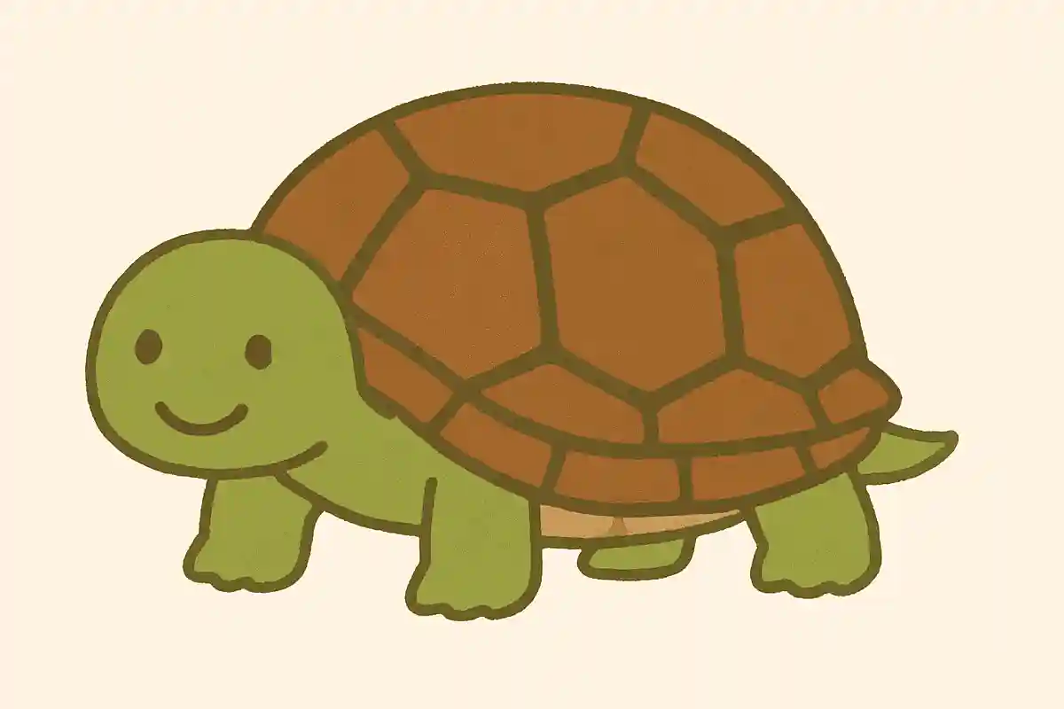 カメの甲羅は体の一部で、何が変形してできたものでしょうか。