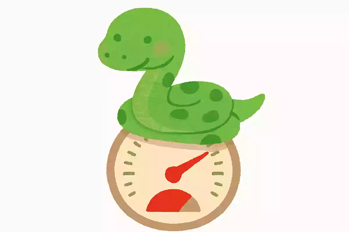 ヘビは自分で体温調節ができない