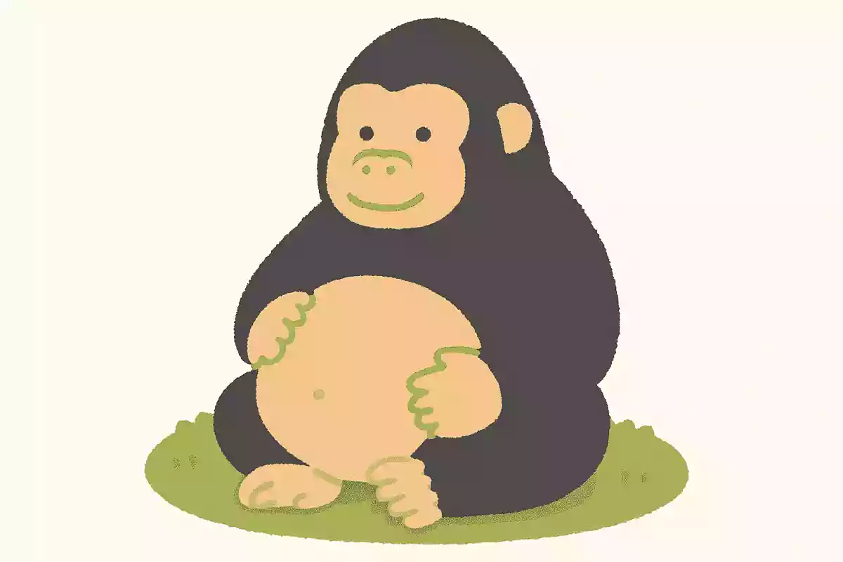 ゴリラが妊娠してから出産するまでの期間はどれくらいでしょう？
