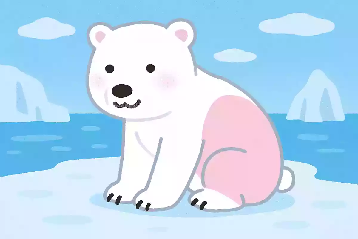 シロクマの肌は何色?