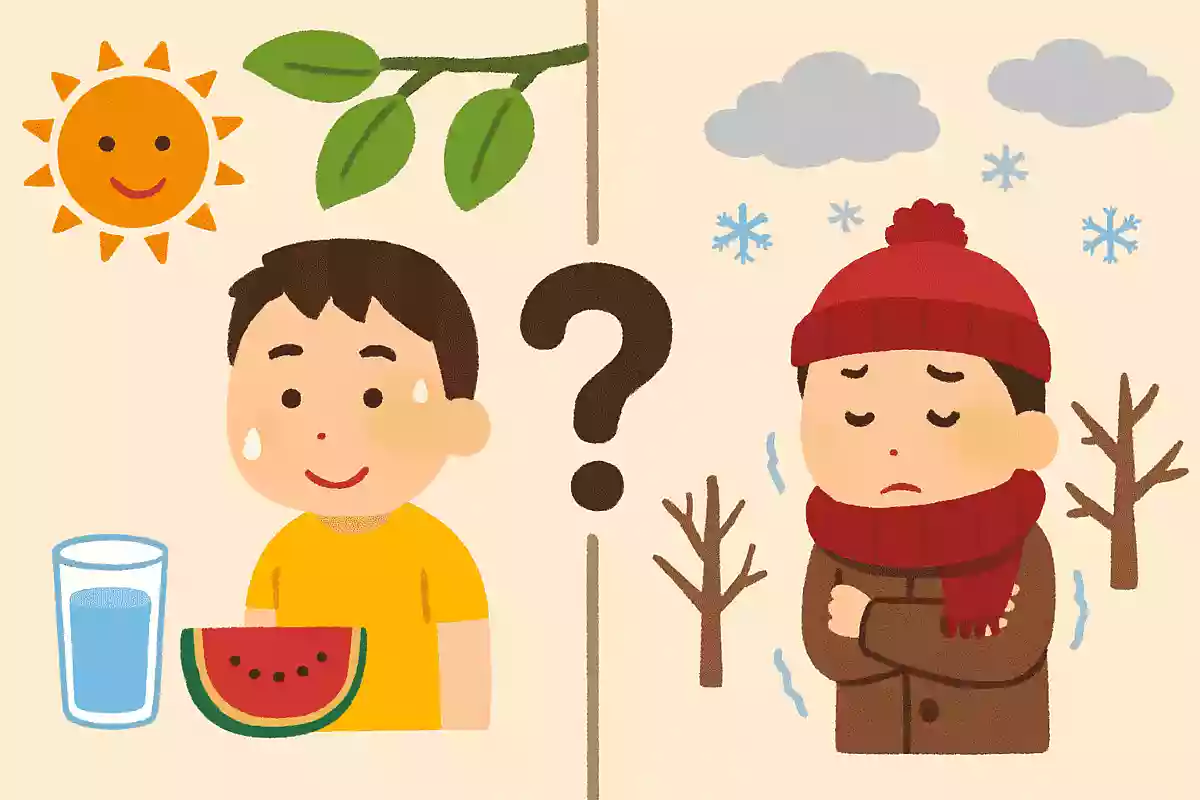 【ウソ？ホント？】ダイエットの豆知識クイズ
