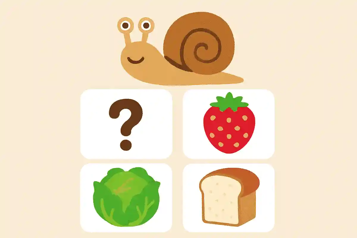 次のうちカタツムリが食べるものはどれでしょう？