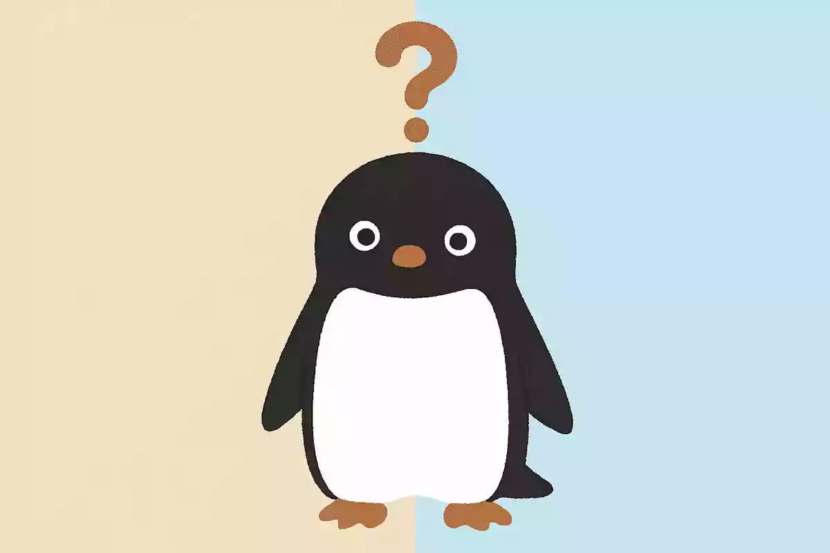 【海の生きもの】ペンギンの雑学クイズ。豆知識が身に付く3択問題