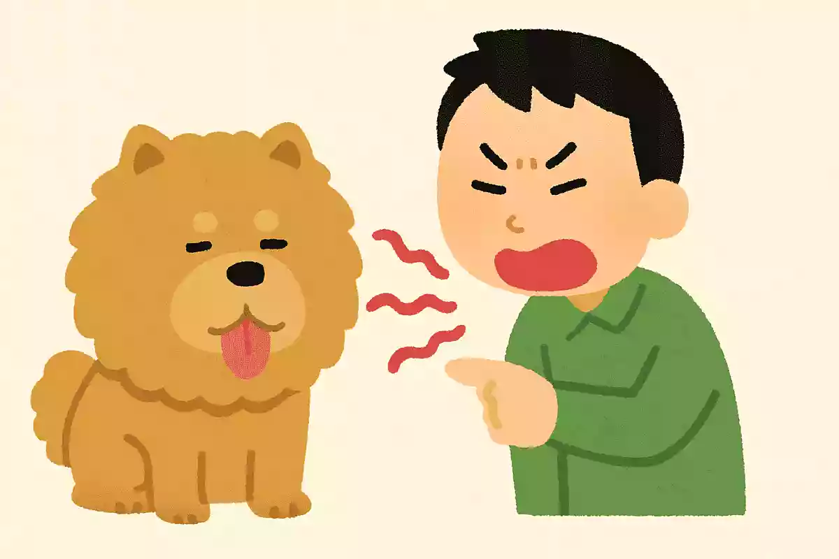 おっとっととっとってって言っとったのに、なんでとっとてくれんかったん?とっとってって言っとったやん