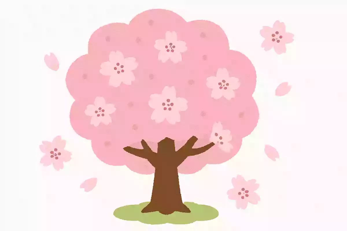 桜桃