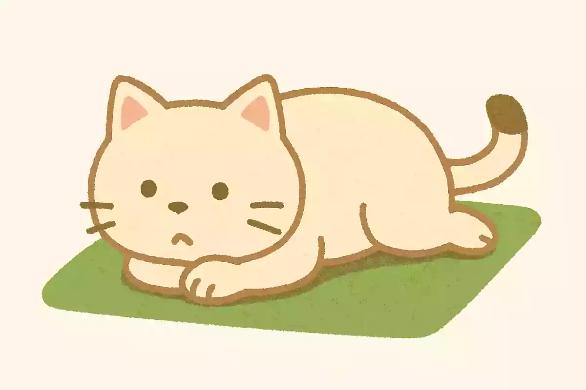 寝転ぶネコ
