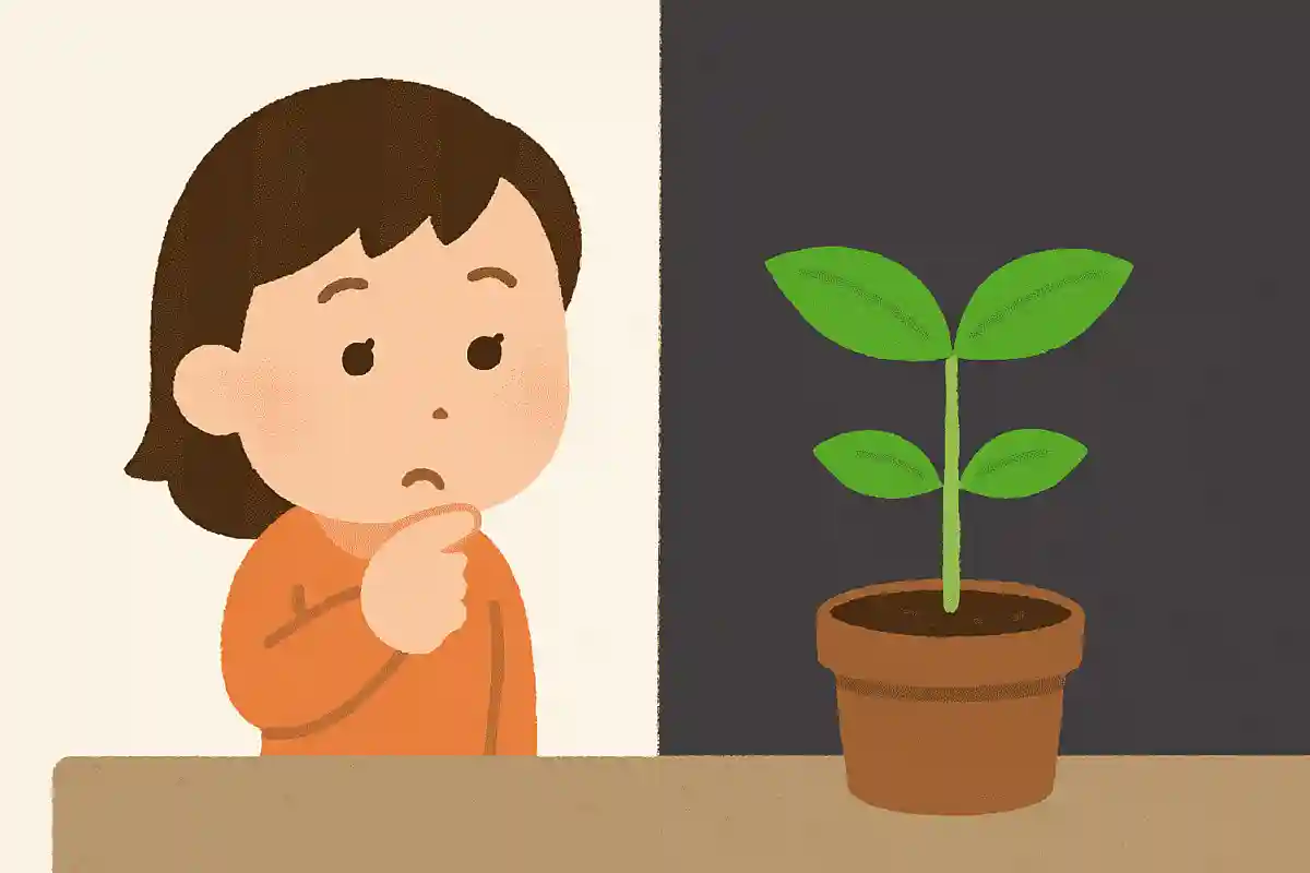 植物は光がなくても大きくなる。○か×か?