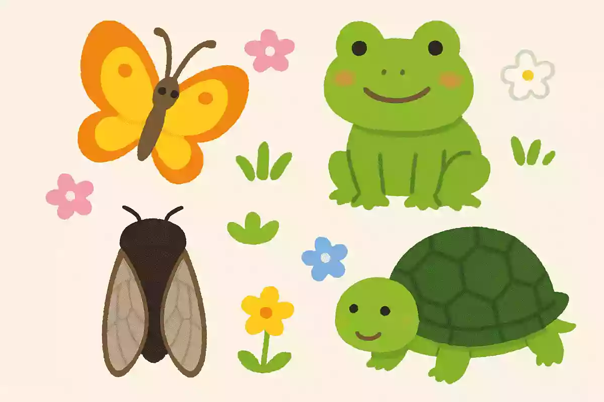 5月に元気に戻ってくる生き物は?