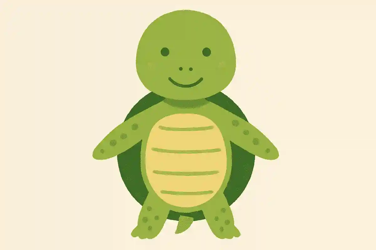 カメは一番長くて何年くらい生きるでしょうか？