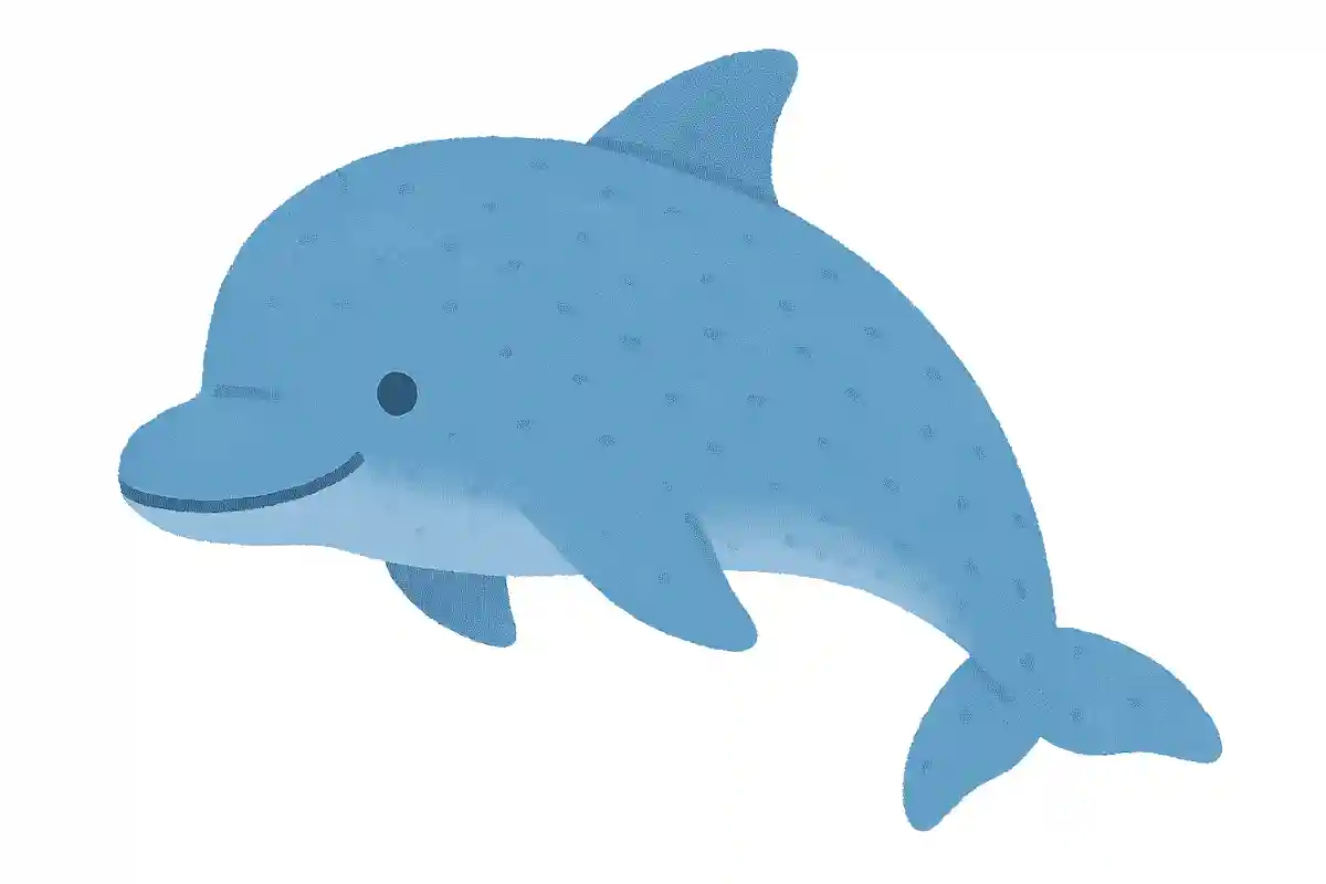 イルカの皮膚の特徴は?