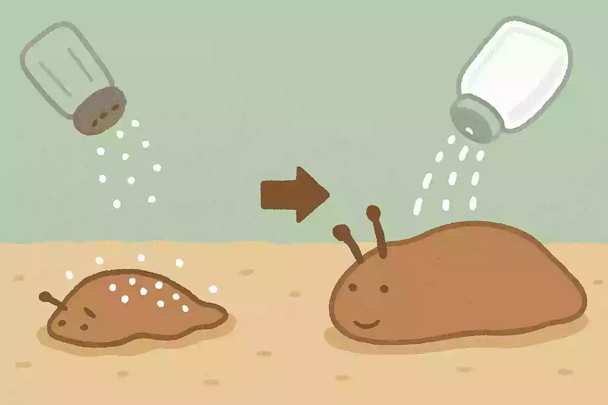 なめくじに塩をかけると縮むが砂糖をかけると逆に伸びる