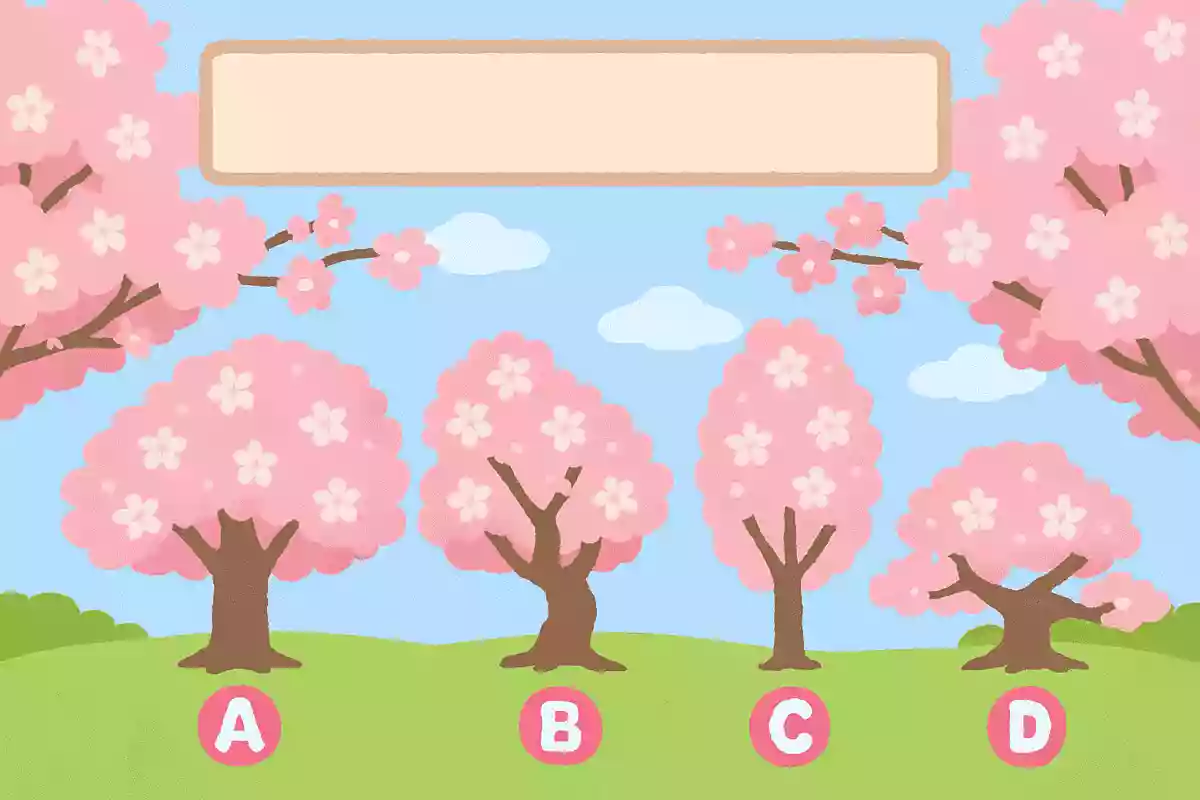 日本で最年長の桜は次のうちどれ?
