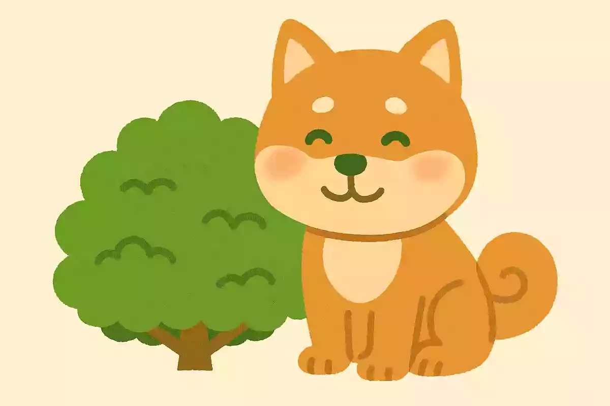 柴犬の「柴」にはどういう意味がある?