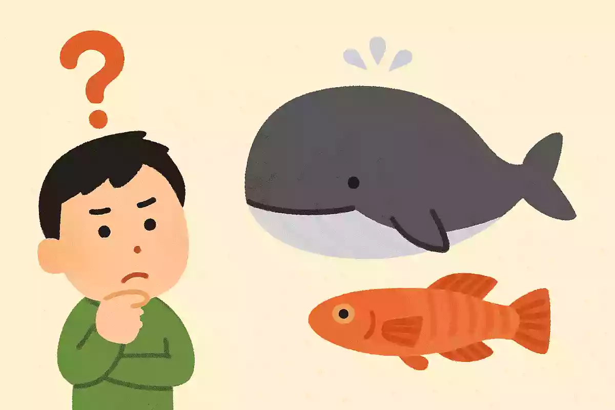 クジラよりも大きくて、メダカよりも小さい生き物はなんでしょう？
