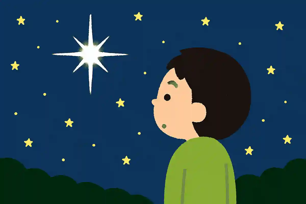 太陽を除いて地球から1番明るく見える星はシリウスである