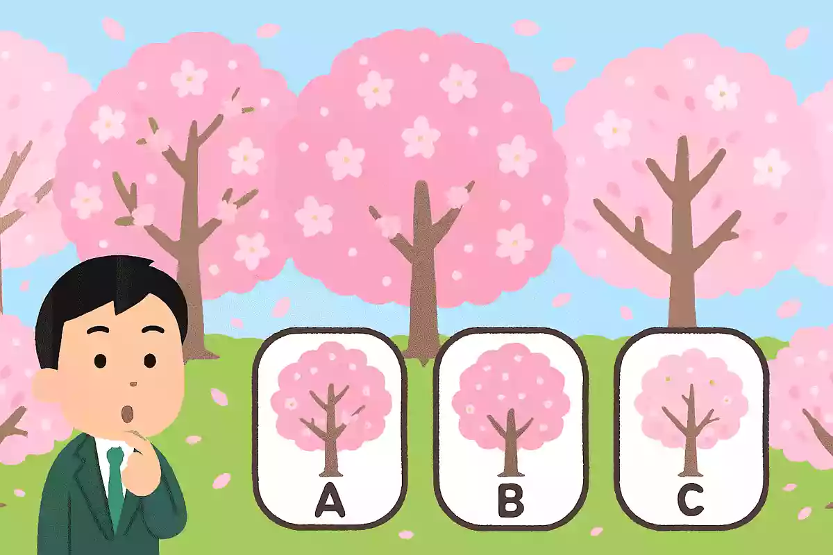 東京都が桜の開花宣言をするのはどこの桜?