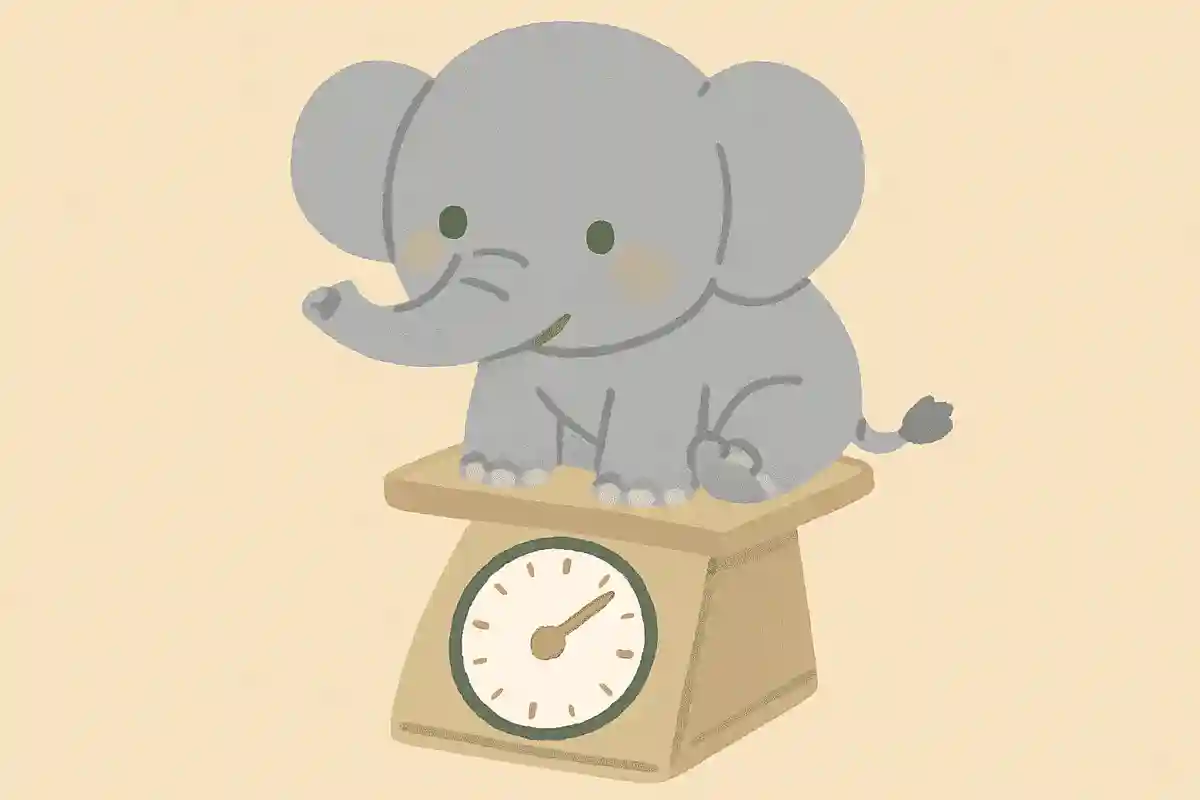 ゾウの赤ちゃんはどれくらいの重さ？