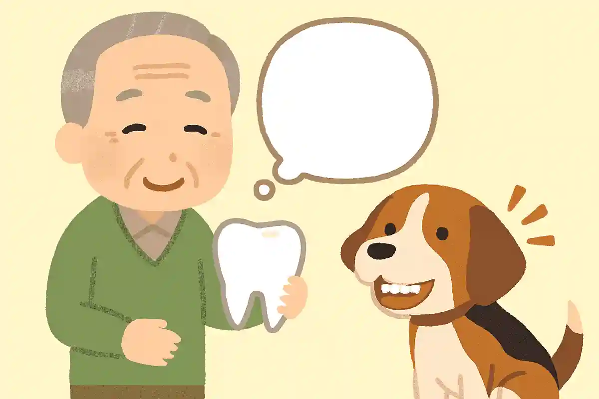 人間のように、犬も乳歯が抜けて永久歯が生えてくるでしょうか?