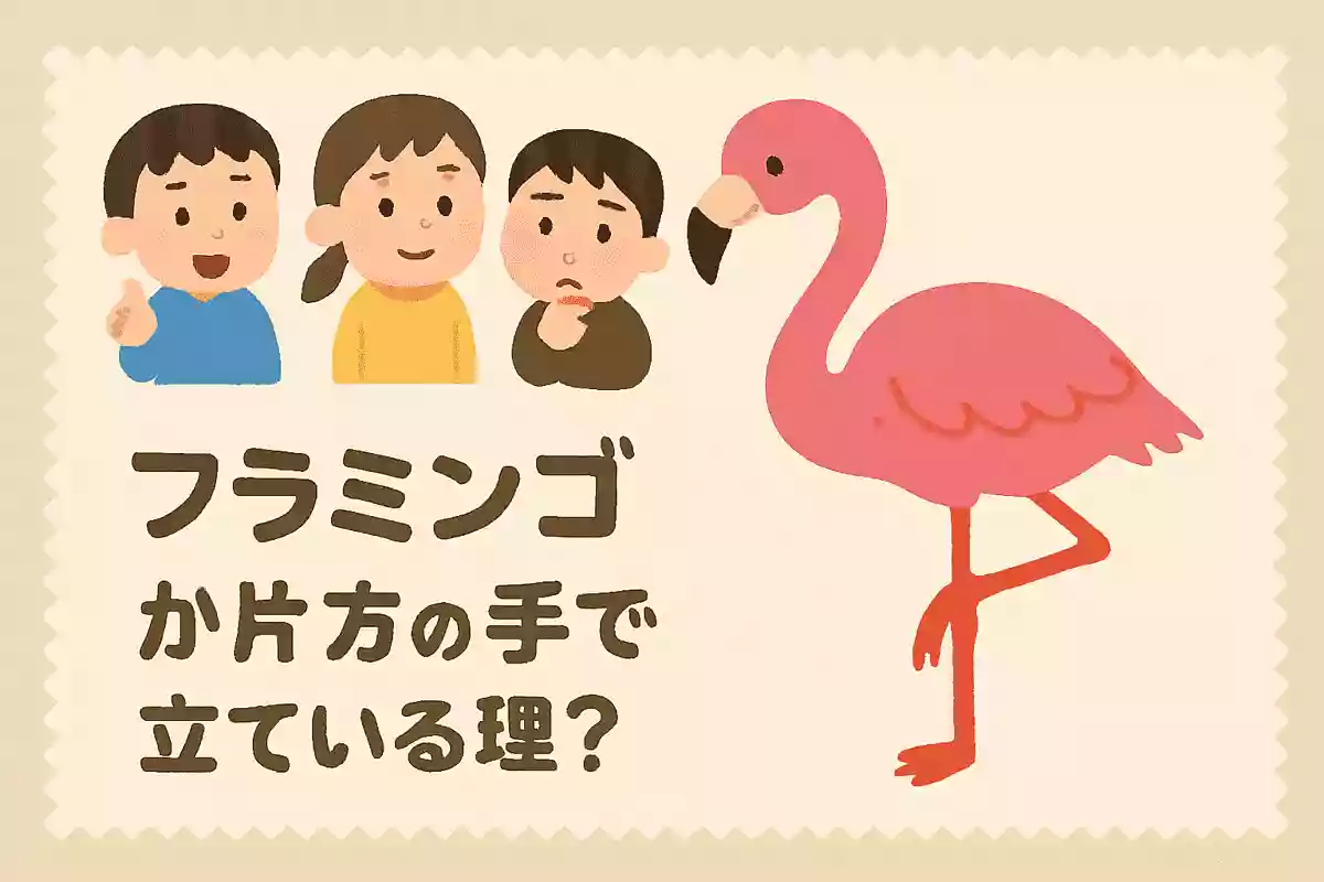 フラミンゴが片方の足で立っている理由は何でしょうか？
