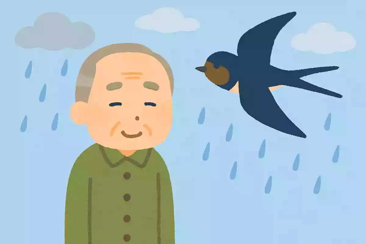 低空飛行していると雨が降ると言われている鳥は何。