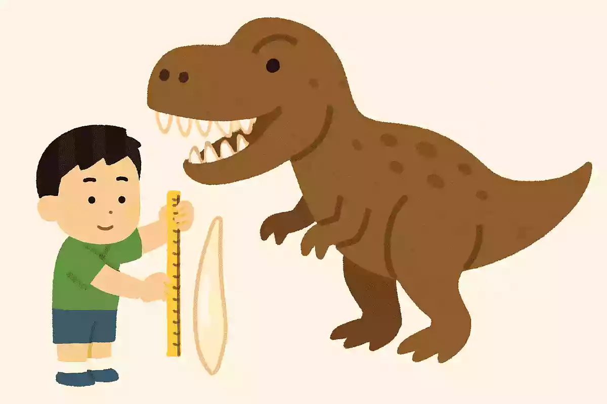 ティラノサウルスの歯の長さは?