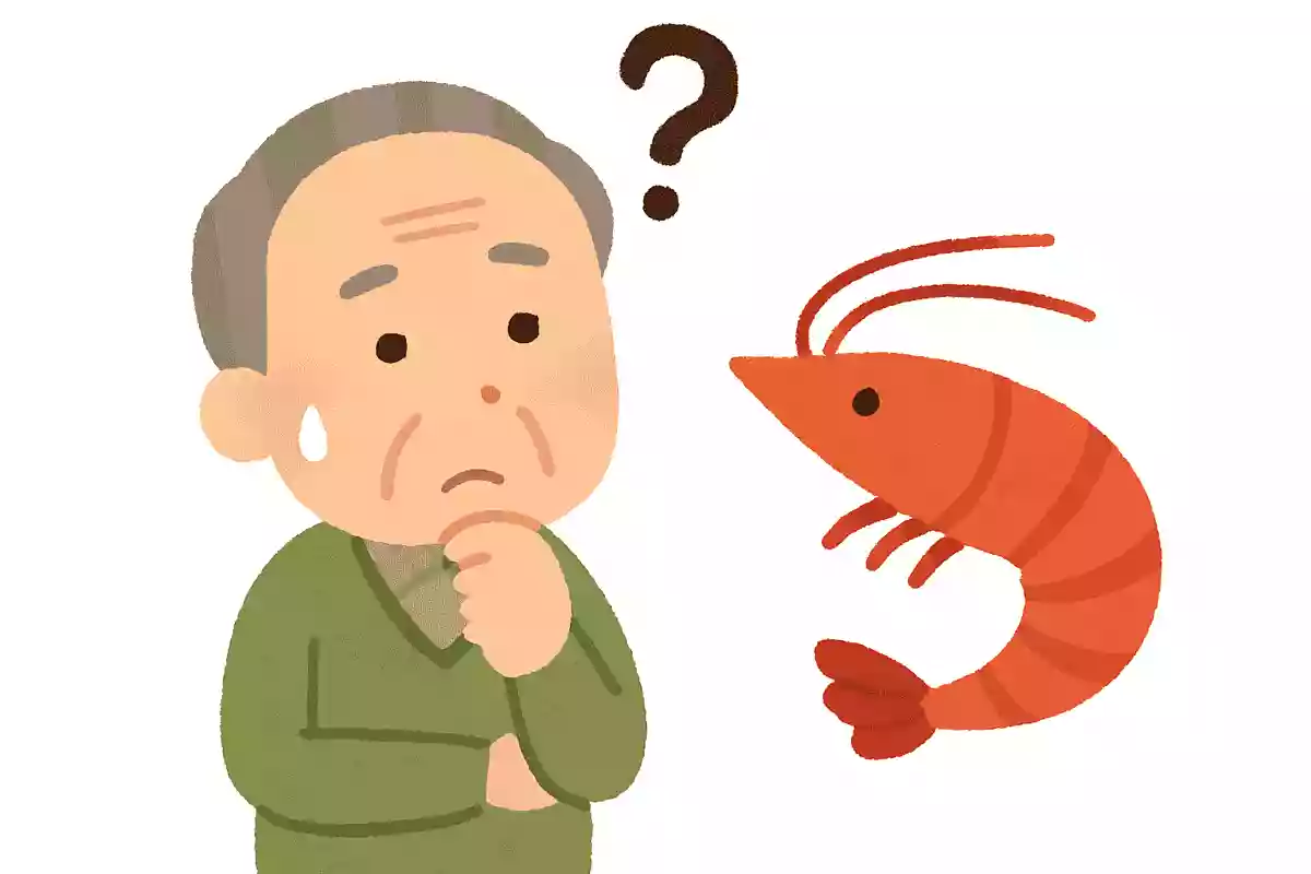 値段がわからない海の食べ物は何でしょうか?