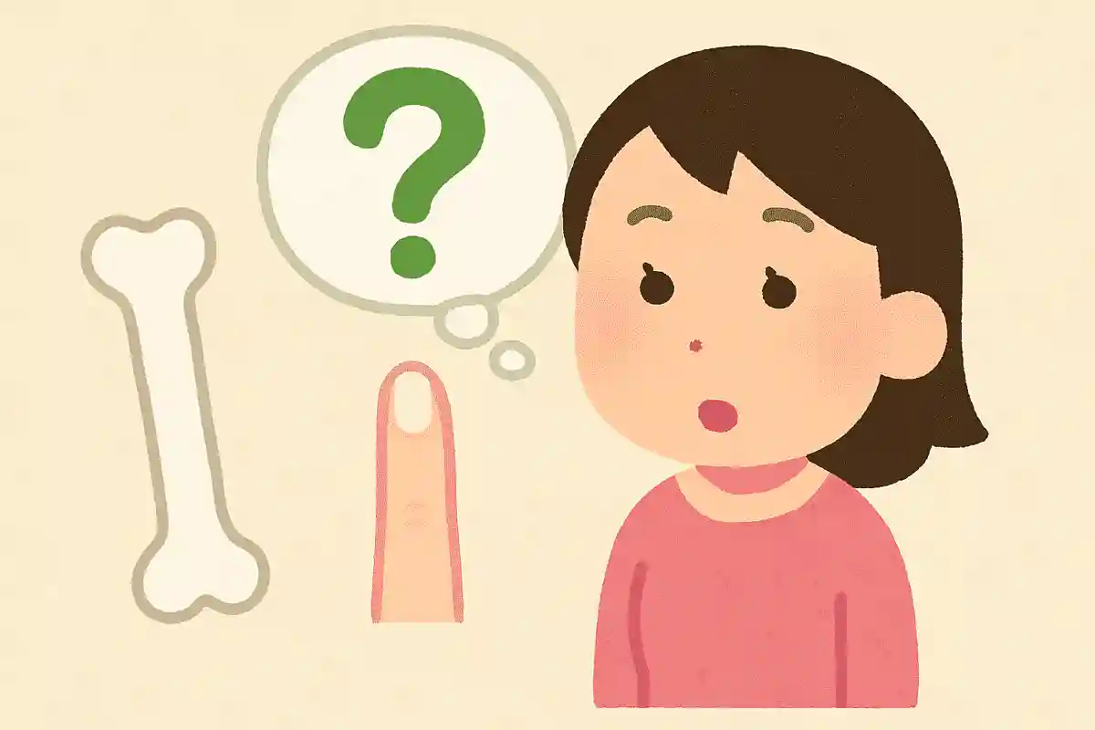 骨と爪は同じカルシウムでできている。◯か✗か