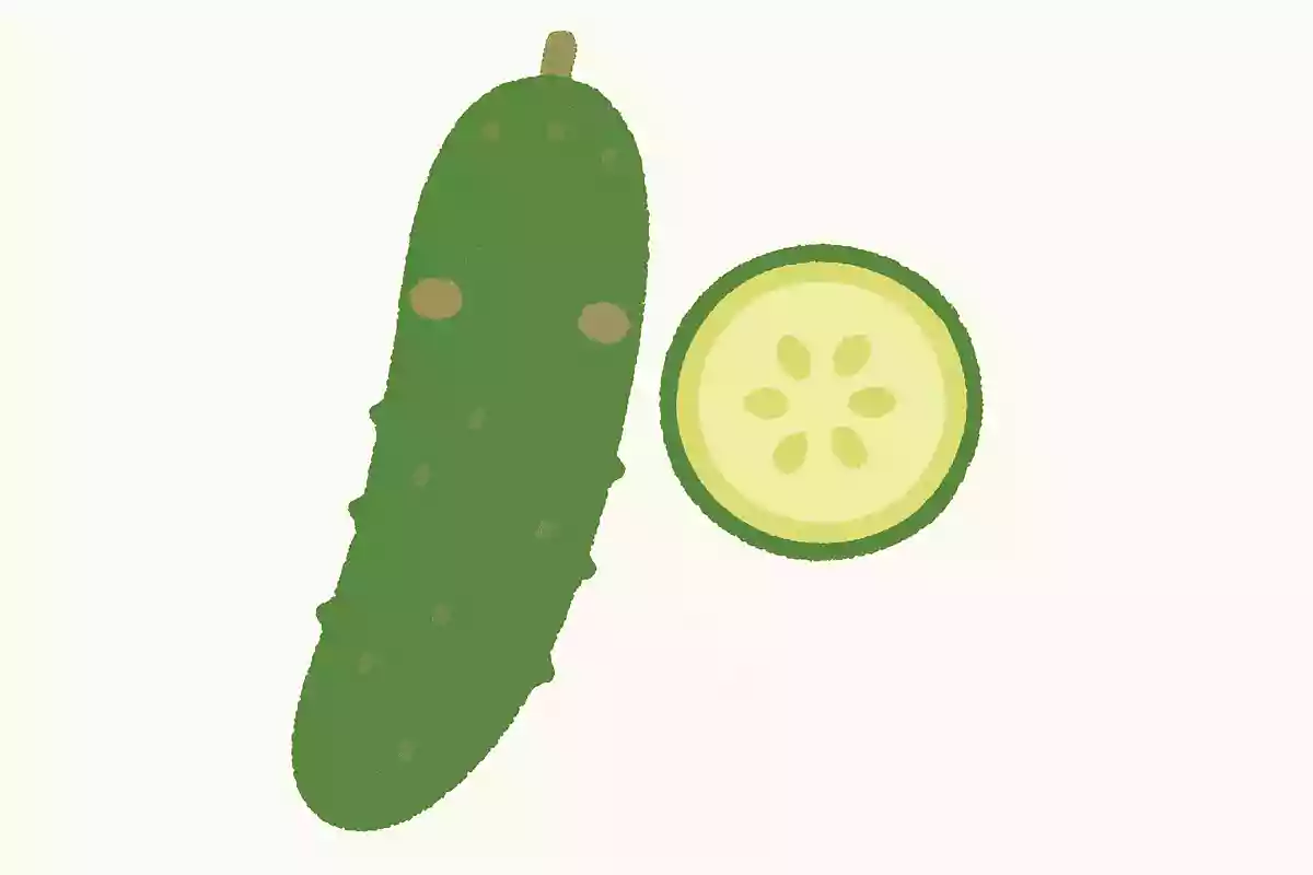 きゅうりの最も甘い部分はどこでしょうか？