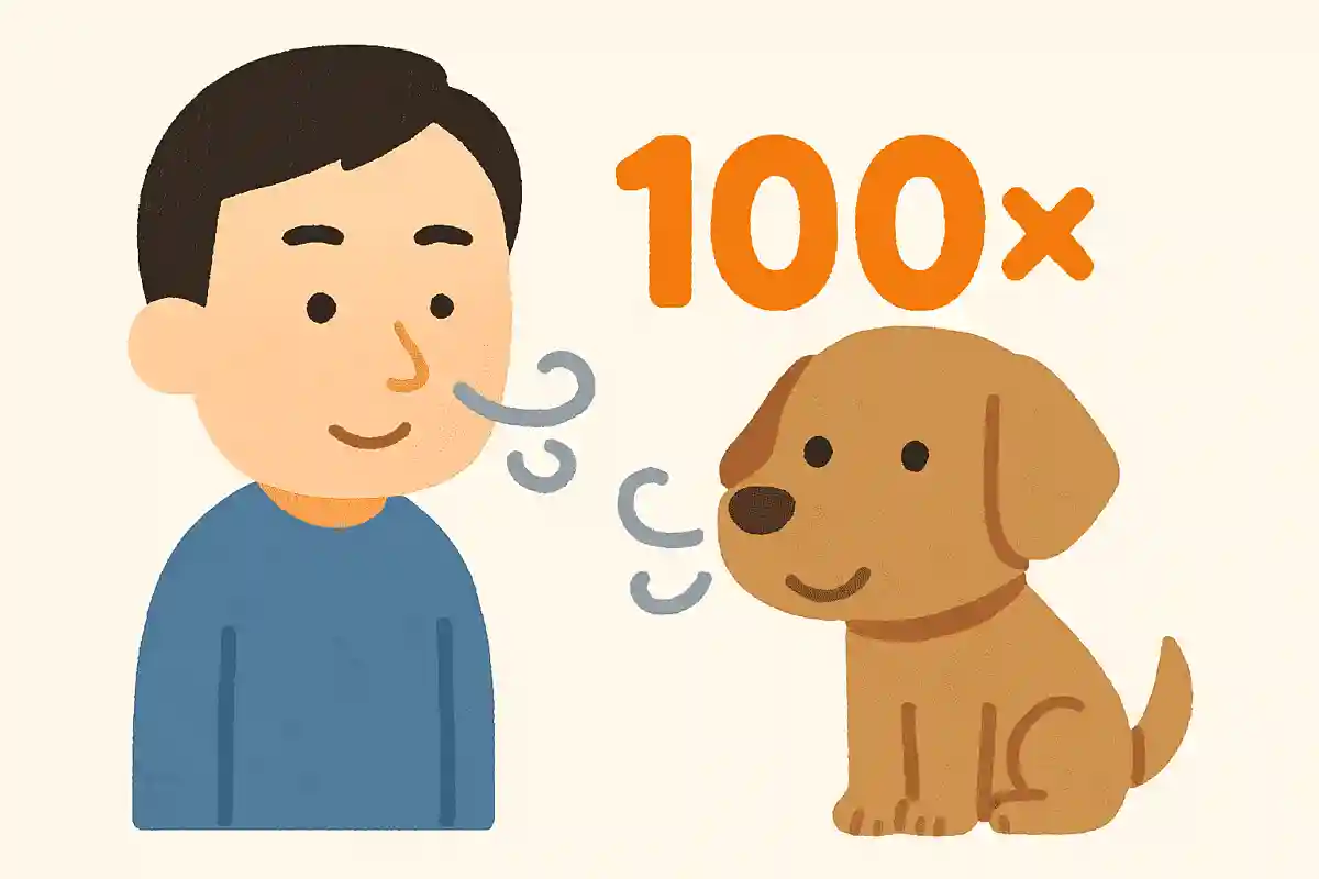 犬の嗅覚は人間の何倍？