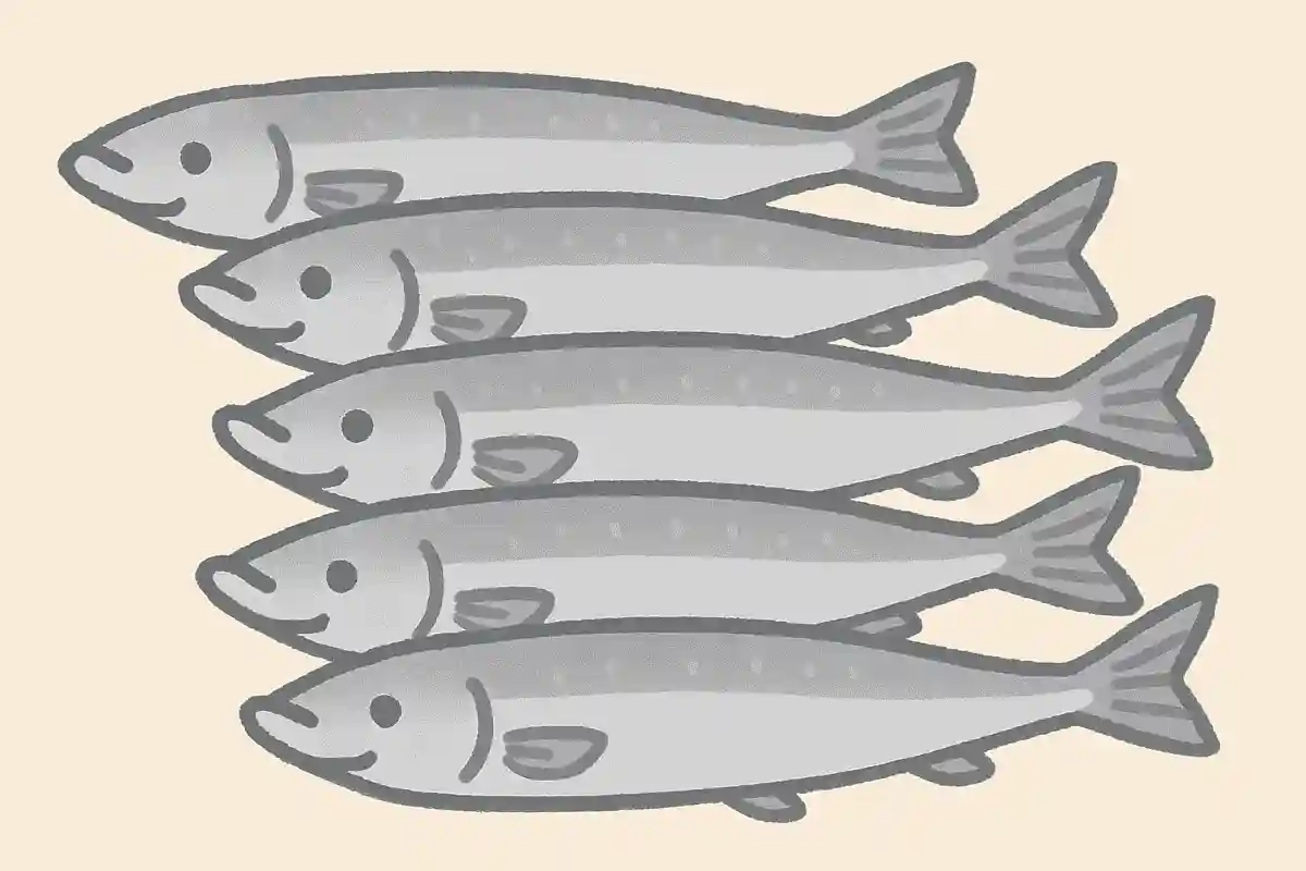 柳葉魚(ししゃも)