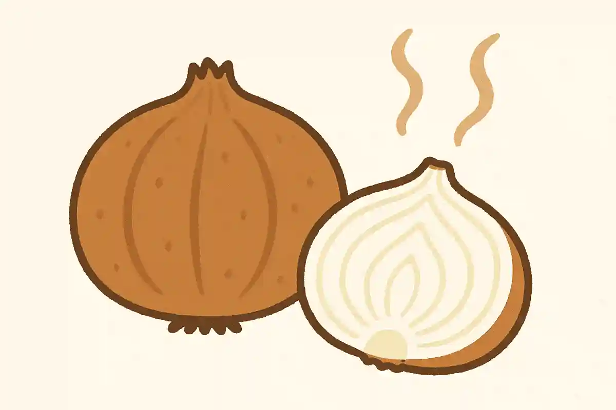 茶色くて丸い、生で食べると辛い、切ると涙