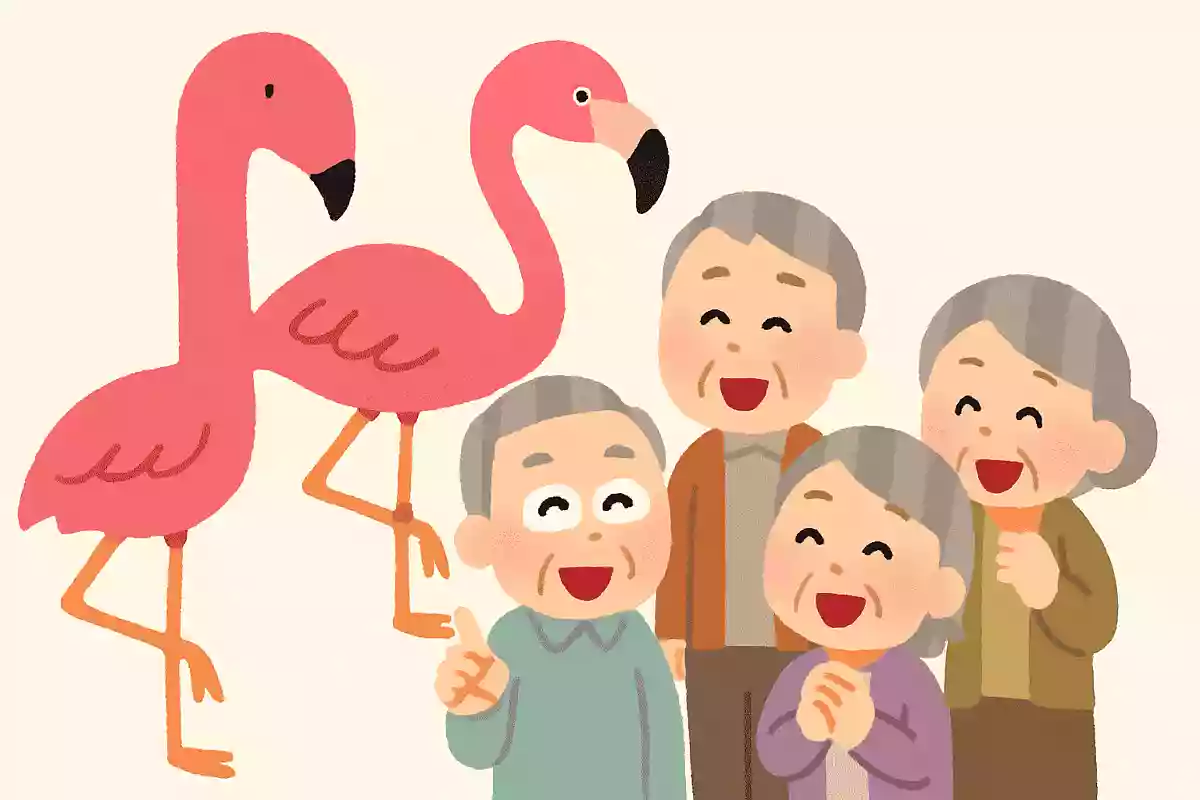 フラミンゴが赤色やピンク色をしている理由は何でしょうか？