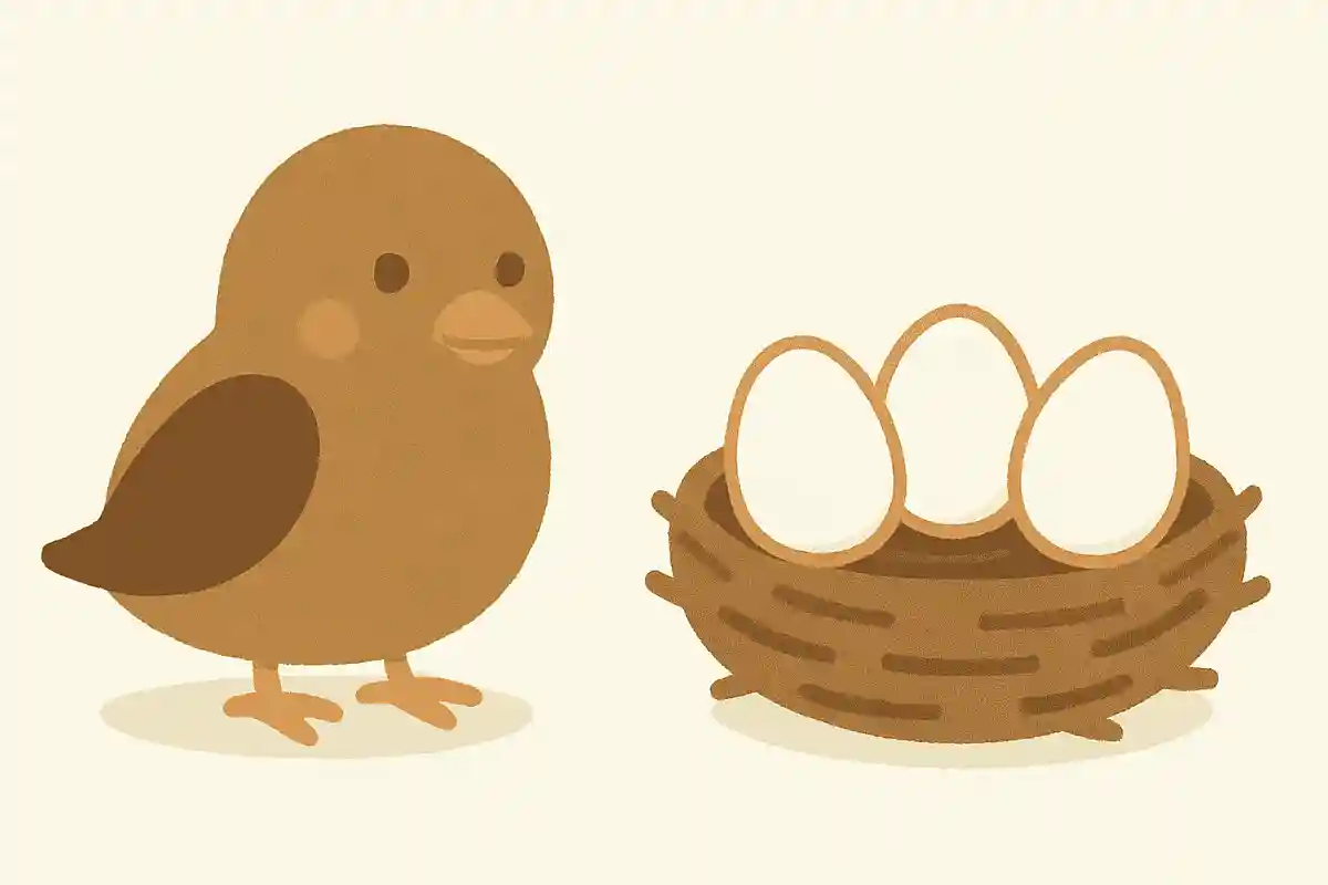 鳥は卵を産む。○か×か?