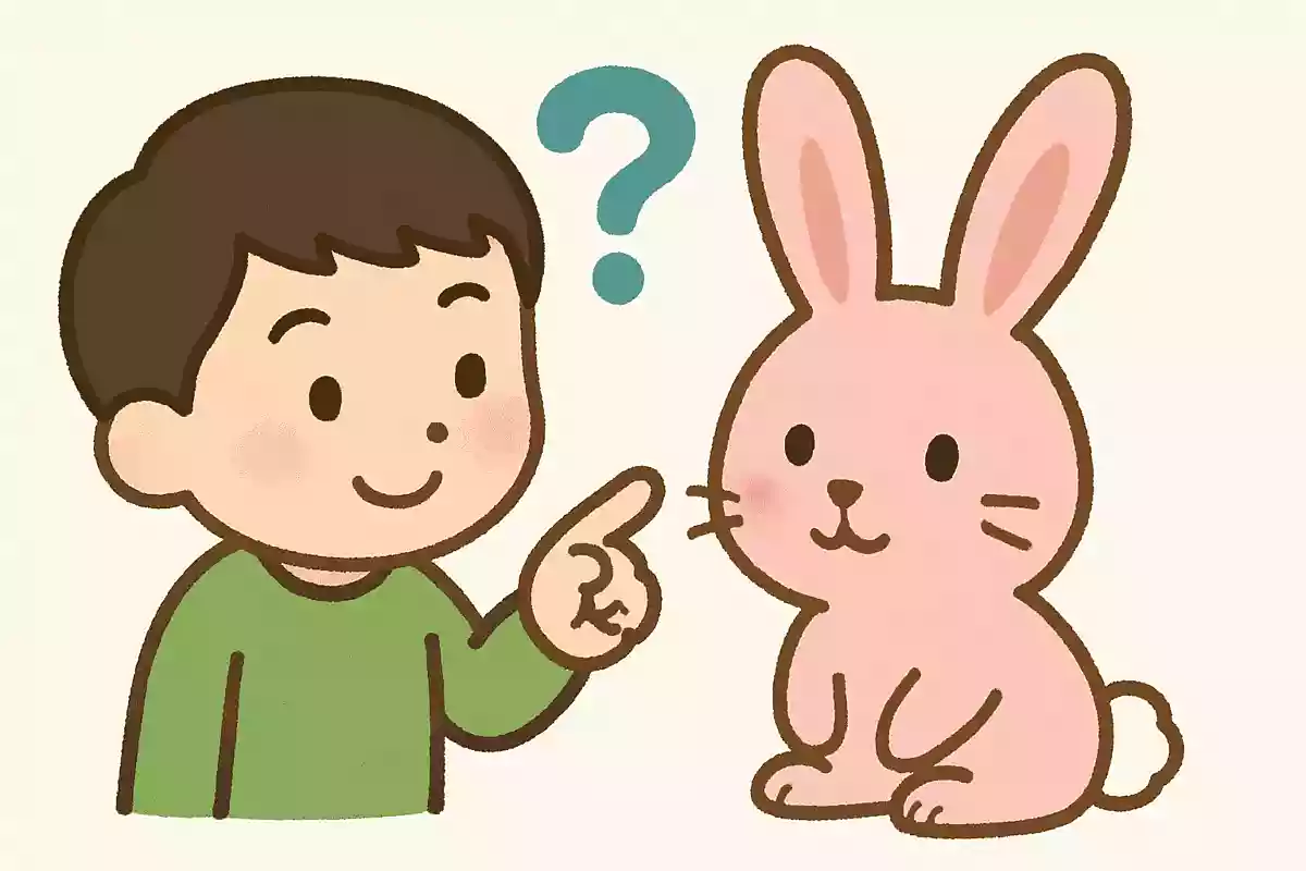ウサギの耳が大きい理由は?