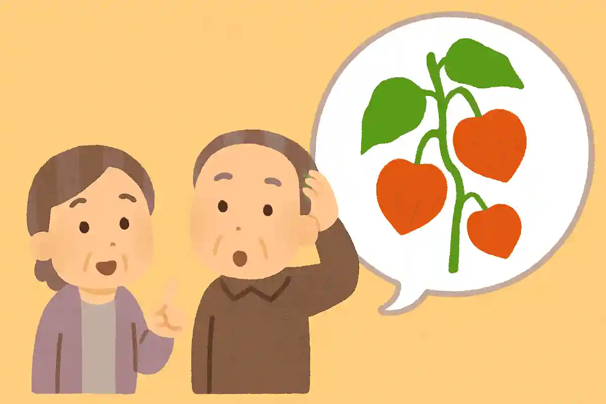 お盆にはつきものと言われ、盆提灯の形にも似ている植物は何でしょうか?