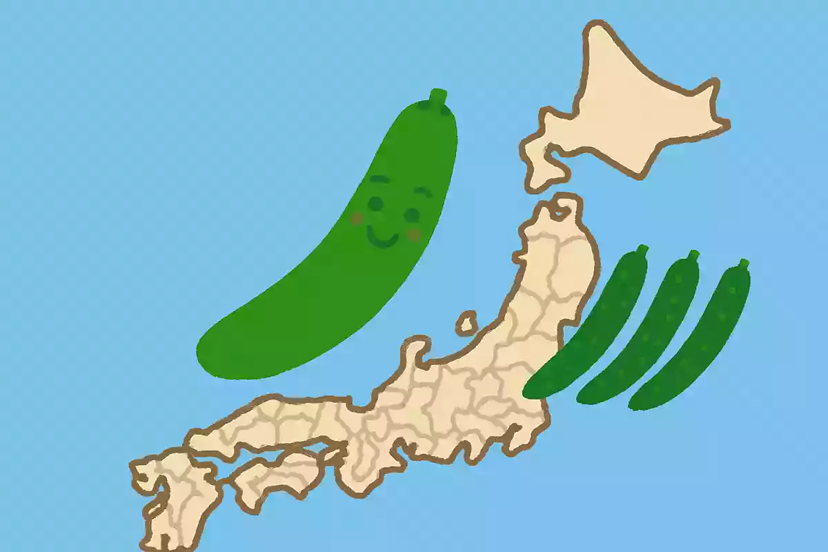 きゅうりの生産量が日本一の都道府県はどこでしょう?