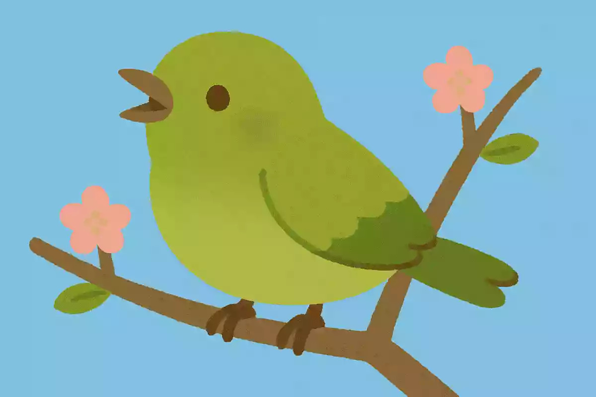 鶯