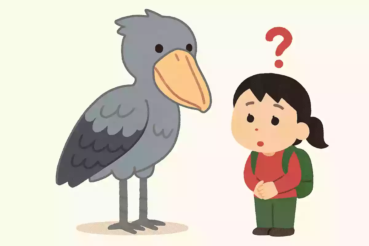 ハシビロコウが動かない理由