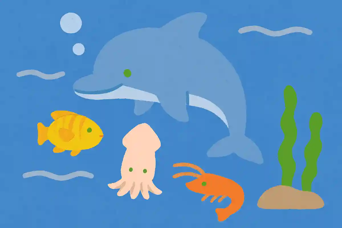 イルカは主に何を食べる動物?