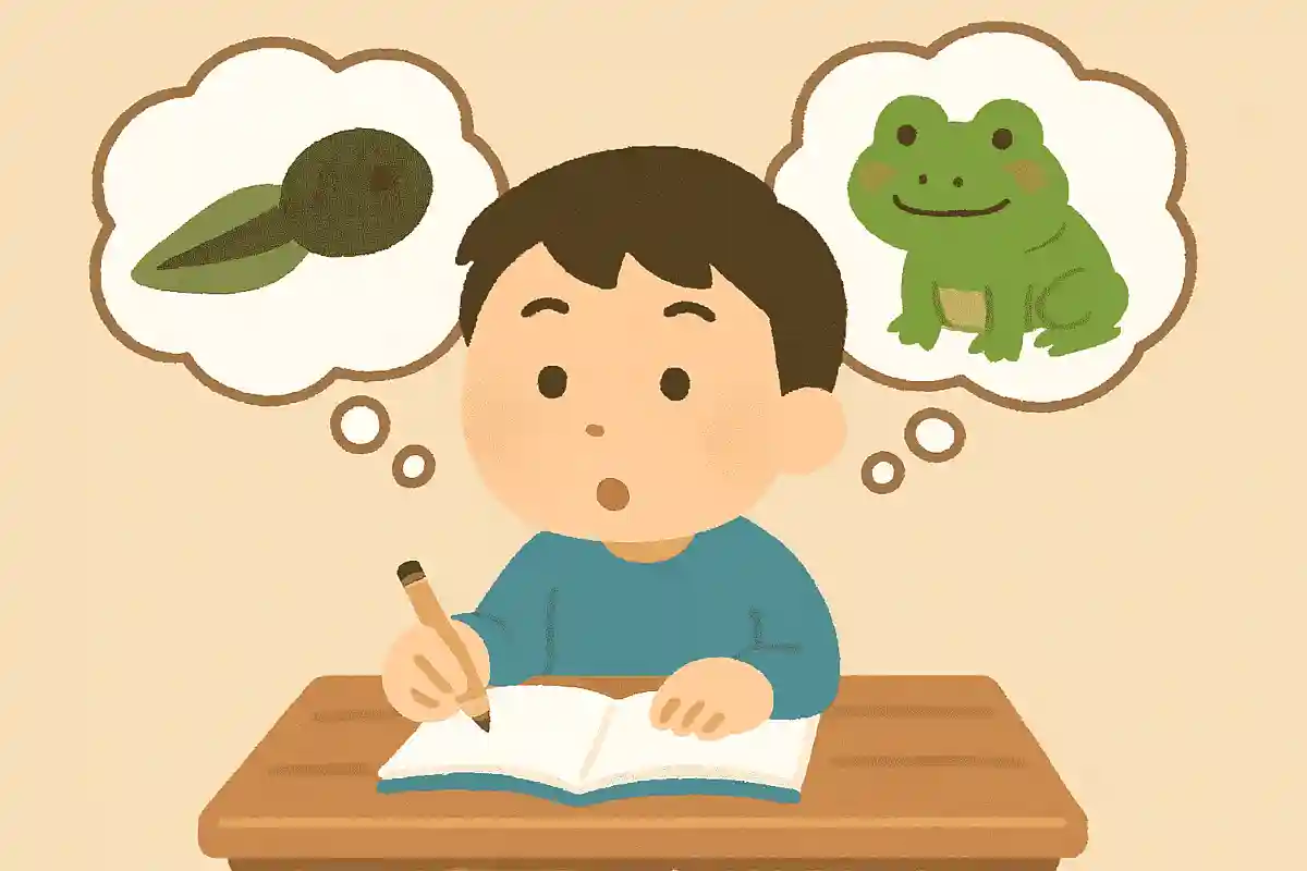 オタマジャクシがカエルに姿に変わることを何というでしょう？