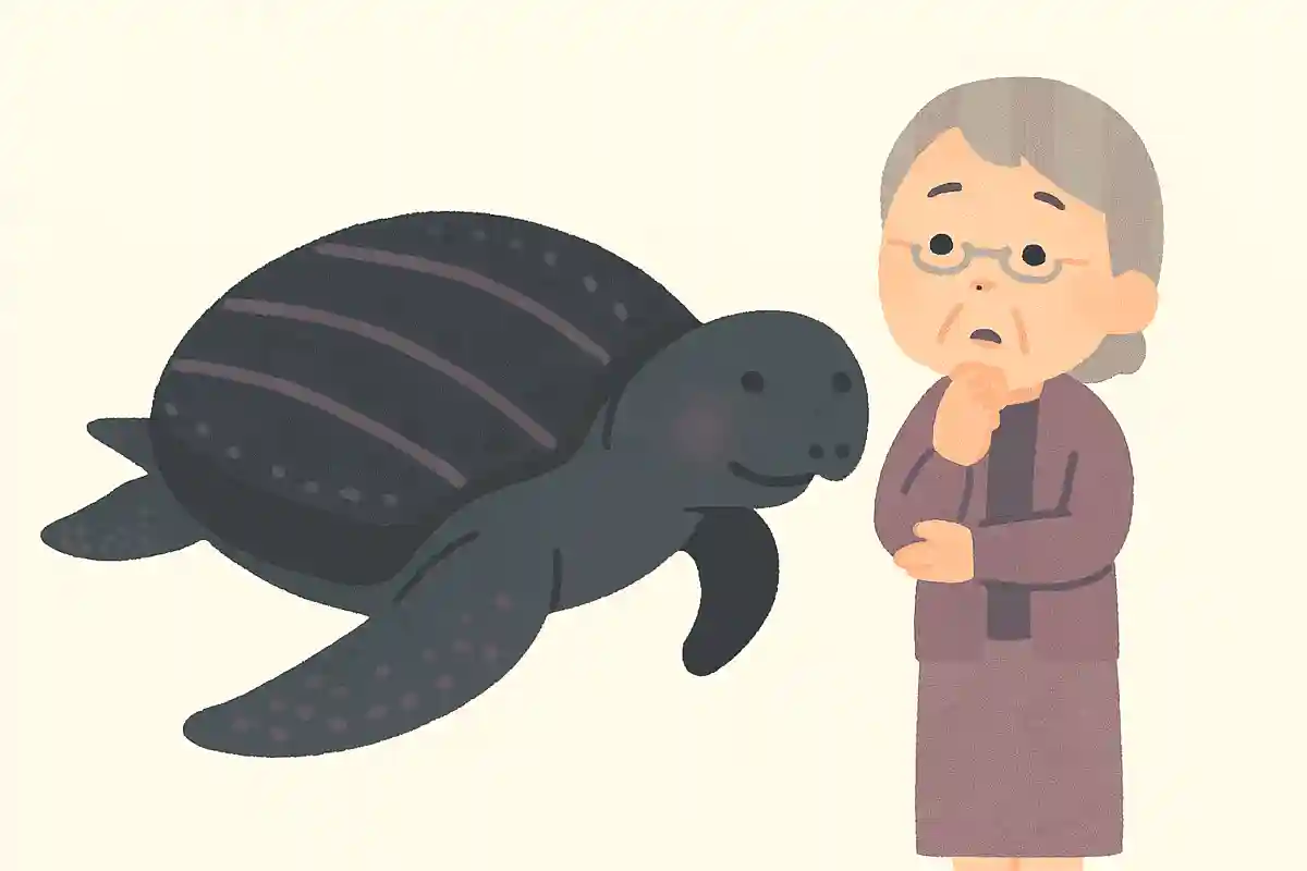 世界で最も大きな亀は何mと言われているでしょうか