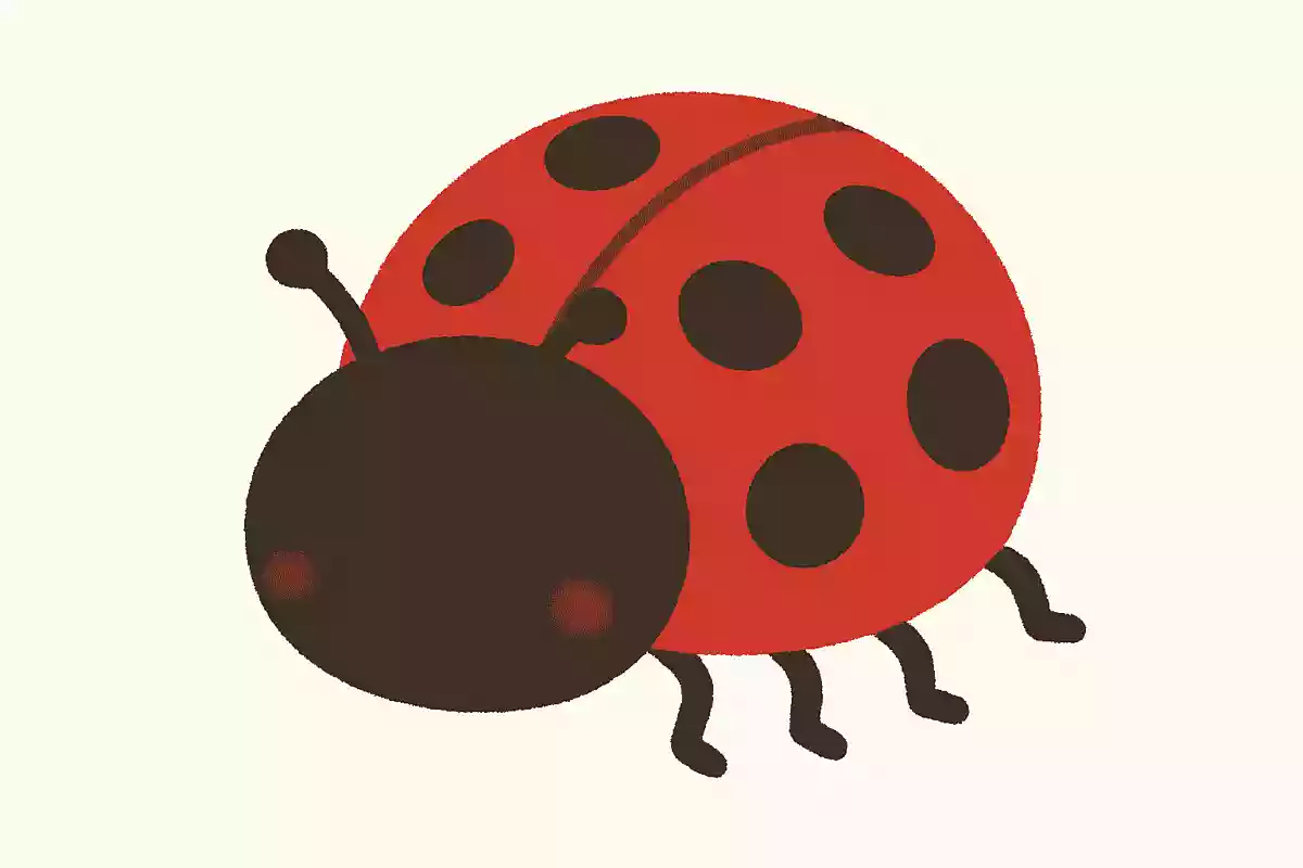 テントウムシの英語「ladybug」は「マリア様の虫」という意味