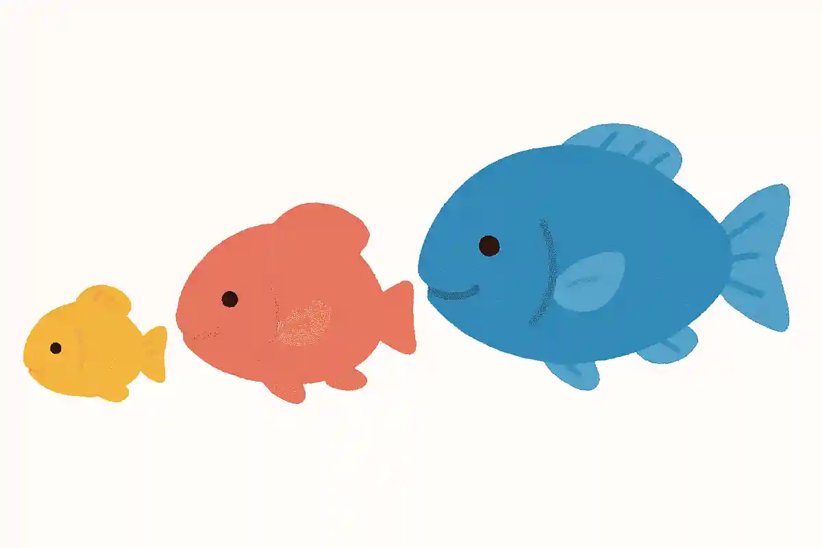 この中で成長すると名前が変わっていく魚はどれでしょうか?