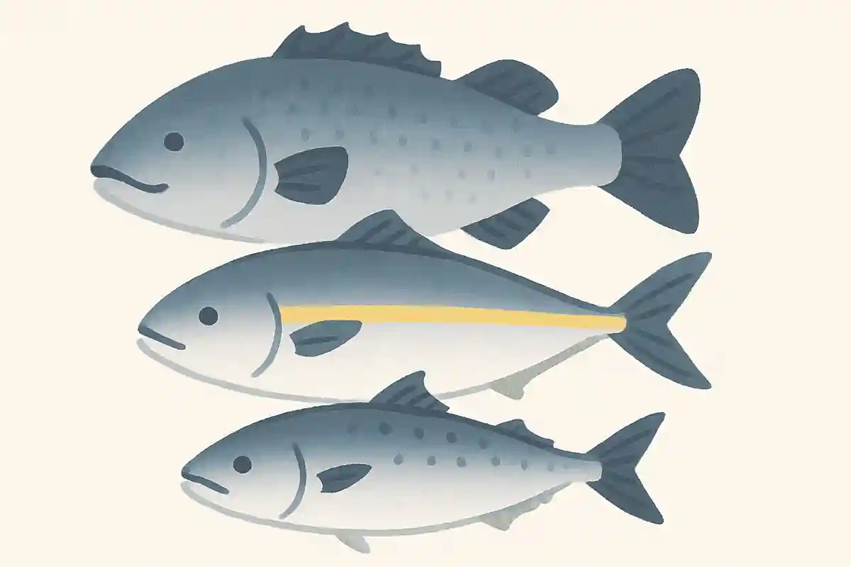 スズキ、サワラ、ブリなど育つと名前が変わる魚のことを何と呼ぶ?